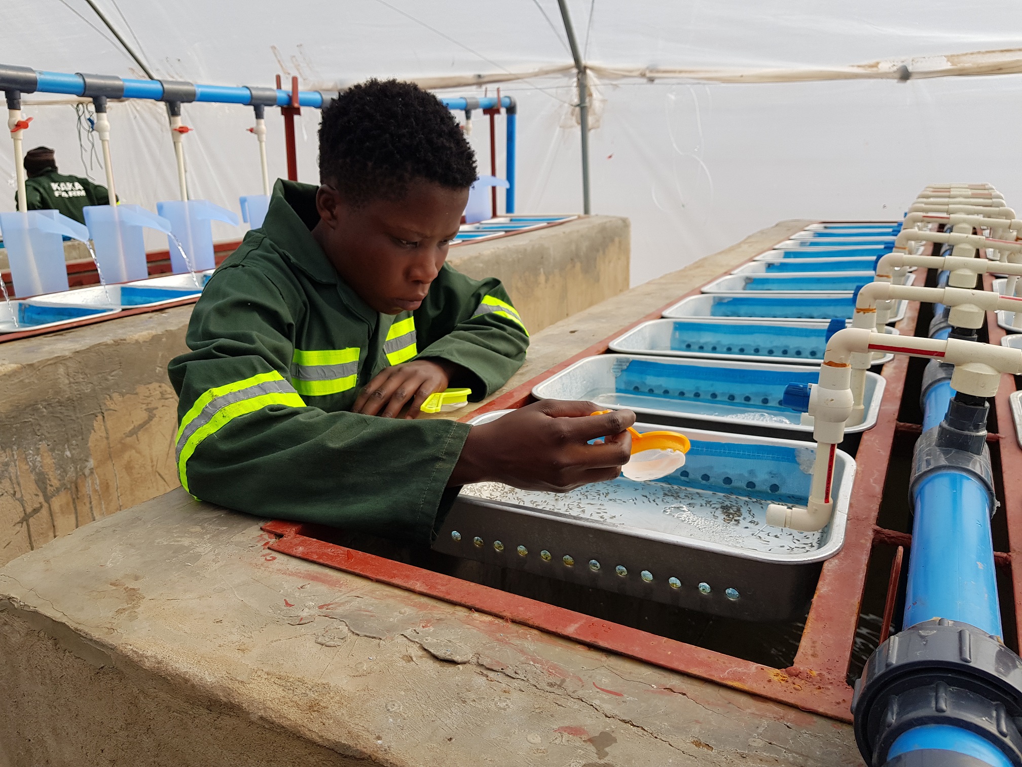Operations at Palabana Fish Nursery & Hatchery developed under the Aquaculture Seed Fund